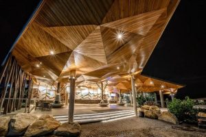 A modern building entrance at night features an angular, geometric wooden ceiling with embedded lights, stone steps, large rocks, and plants, creating a warm and inviting atmosphere.