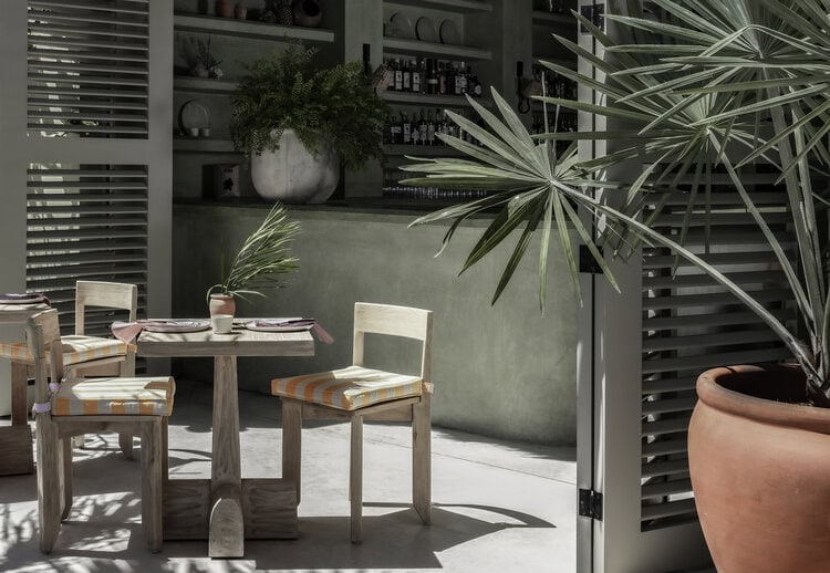 A sunlit, modern cafe with pale wood chairs, striped cushions, and a small round table. Potted palms and green plants add a tropical feel. The interior features muted green walls and neatly arranged shelves.