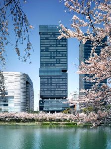 Modern glass skyscrapers rise behind blooming cherry blossom trees along a riverbank under a clear blue sky, reflecting urban and natural beauty.