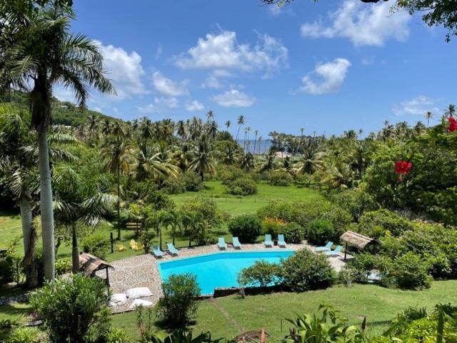 A round swimming pool with lounge chairs is surrounded by lush green plants and palm trees, with a view of more palm trees and a hint of ocean in the background under a blue sky with scattered clouds.
