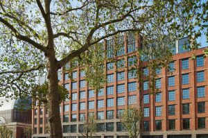 A large brick building with many grid-patterned windows, partially obscured by a leafy tree in the foreground, under a clear blue sky.