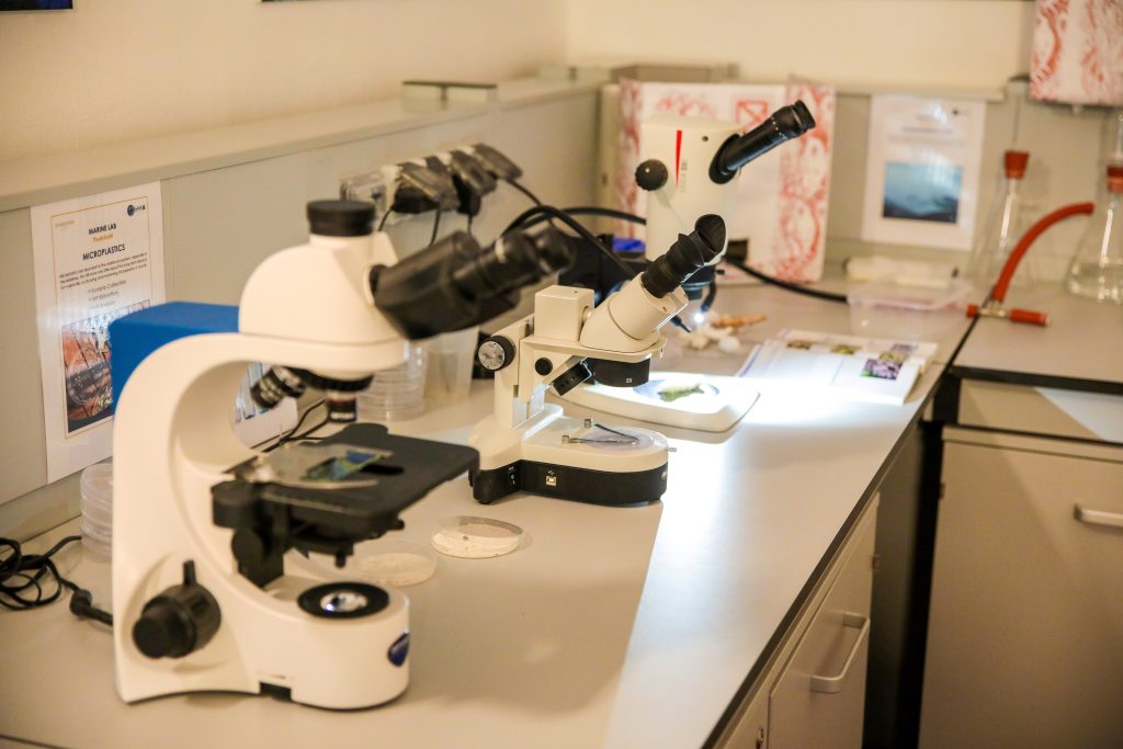 Two white microscopes are placed on a laboratory countertop with petri dishes and scientific equipment nearby, against a background of cabinets and lab supplies.