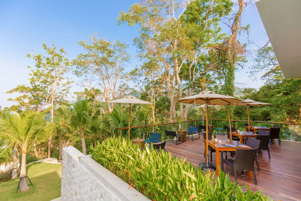 Outdoor restaurant patio with wooden tables, wicker chairs, and umbrellas, surrounded by lush green plants and tall trees under a clear blue sky. The setting overlooks a garden area.