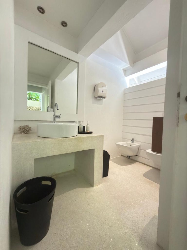A bright, modern bathroom with white walls and floor, a large mirror above a sink, a black waste bin, soap dispensers, a towel, a bidet, a toilet, and a paper towel dispenser on the wall. Natural light streams in.