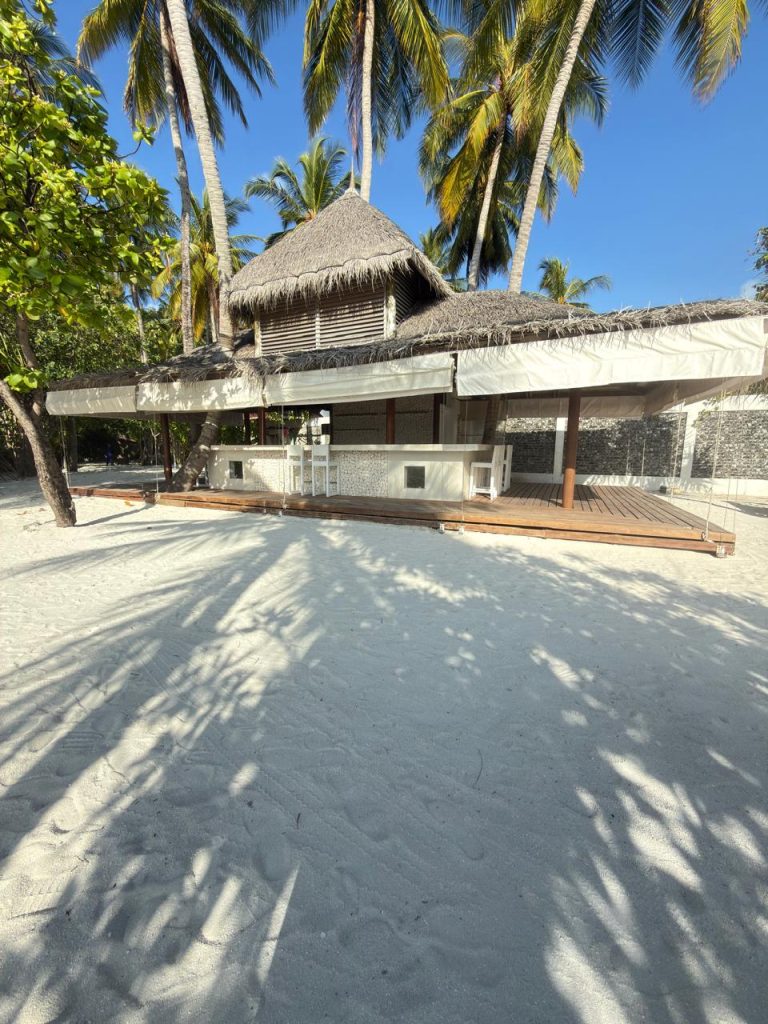 A thatched-roof beach hut with a shaded patio sits on white sand, surrounded by tall palm trees under a clear blue sky. Shadows of trees are visible on the sand in the foreground.