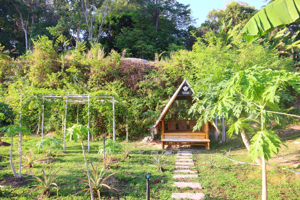 A small wooden cabin with a bench sits in a lush garden, surrounded by green plants, papaya trees, a trellis, and dense trees in the background under sunlight. Stone steps lead to the cabin.