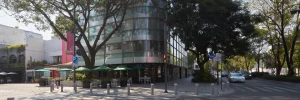 A modern glass building with green umbrellas at a street corner café, surrounded by trees and parked cars on a sunny day. A pedestrian crossing and street signs are visible.