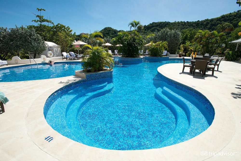 Large outdoor swimming pool with clear blue water, curved steps, surrounded by lounge chairs, umbrellas, palm trees, and lush greenery under a sunny sky.