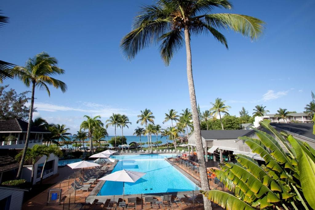 A tropical resort with a large outdoor swimming pool surrounded by lounge chairs and umbrellas, tall palm trees, and a view of the ocean in the background under a clear blue sky.