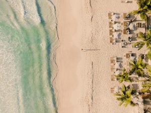 Aerial view of a sandy beach with gentle waves on the left, and neatly arranged lounge chairs with umbrellas and palm trees on the right. One person is walking alone near the water’s edge.