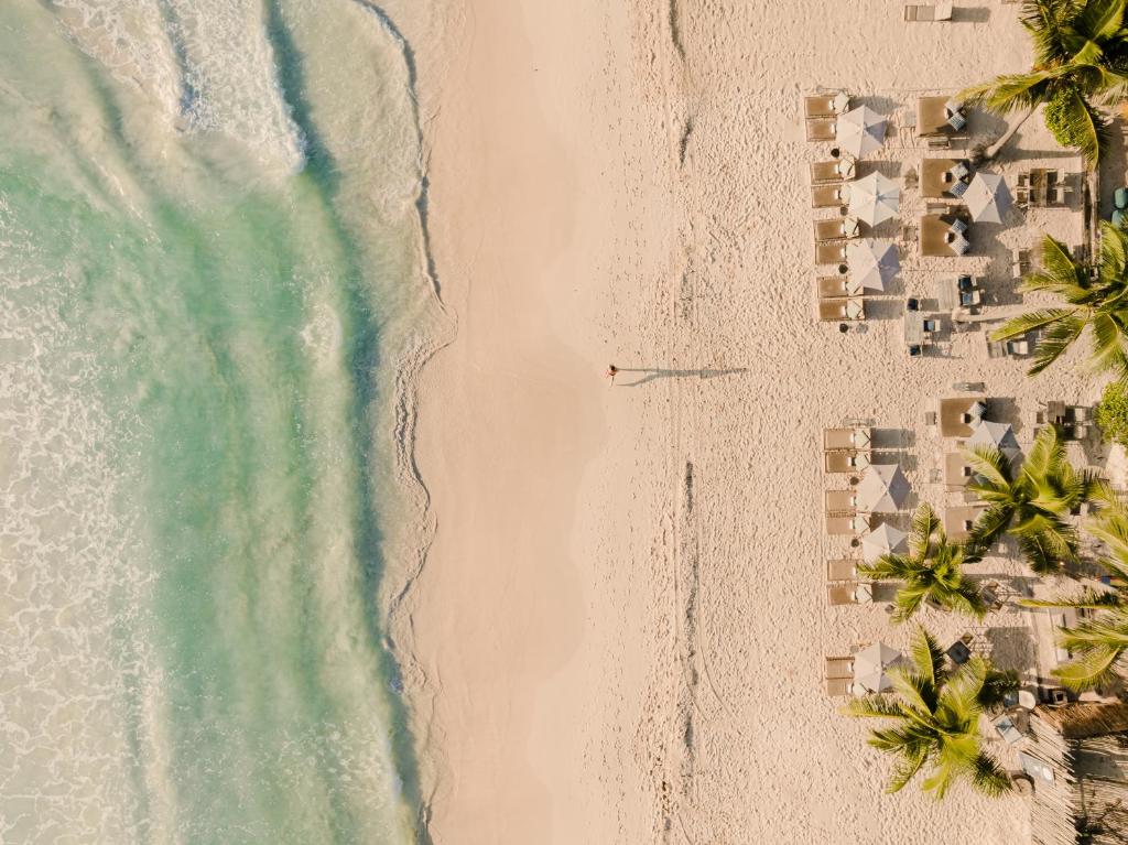 Aerial view of a sandy beach with gentle waves on the left, and neatly arranged lounge chairs with umbrellas and palm trees on the right. One person is walking alone near the water’s edge.