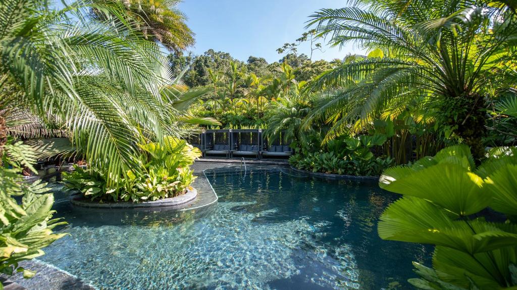 A lush tropical pool surrounded by vibrant green palm trees and plants, with clear blue water and several black lounge chairs in the background under a sunny sky.
