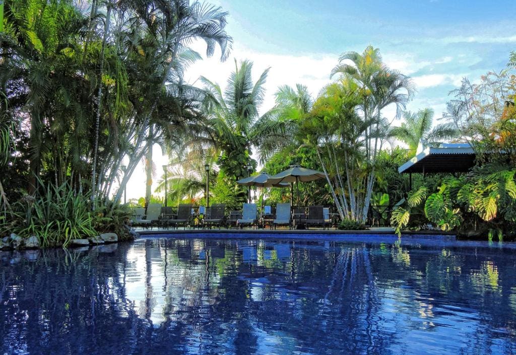 A serene outdoor pool surrounded by lush tropical plants and tall palm trees, with lounge chairs and umbrellas along the poolside under a bright blue sky.