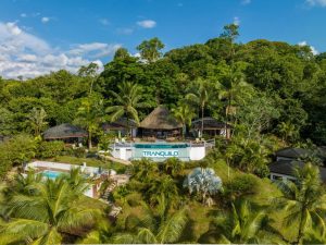 A tropical resort nestled in lush greenery features thatched-roof buildings, a swimming pool, palm trees, and a sign reading TRANQUILO under a blue sky with scattered clouds.