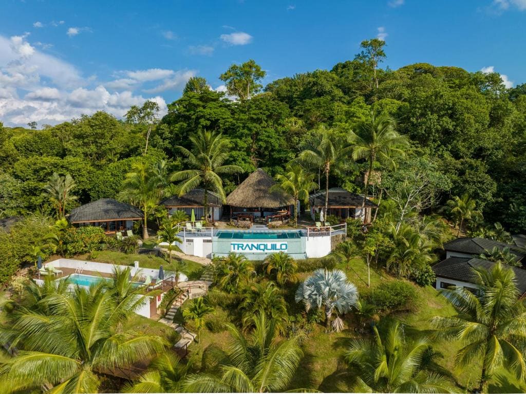 A tropical resort nestled in lush greenery features thatched-roof buildings, a swimming pool, palm trees, and a sign reading TRANQUILO under a blue sky with scattered clouds.