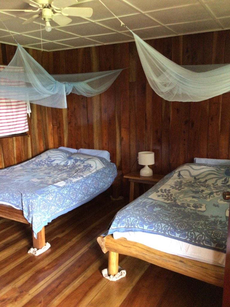 Two wooden beds with blue patterned bedding and blue mosquito nets hang in a rustic room with wooden walls and floors. A small nightstand with a white lamp is between the beds. A ceiling fan is above.