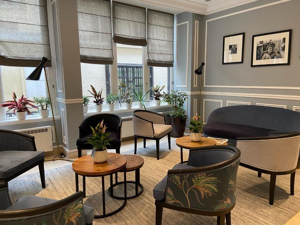 A cozy, modern lounge with gray walls, several armchairs, a blue sofa, round wooden tables, potted plants on tables and window sills, and framed photos on the wall. Natural light streams in through large windows with blinds.