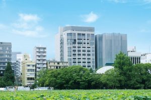 A cityscape with modern mid-rise buildings behind a lush green park filled with tall trees and flowering plants under a clear blue sky.