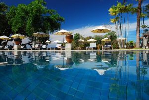 A close-up view of a clear blue swimming pool with reflections, surrounded by lounge chairs, large potted plants, and yellow umbrellas, with palm trees and greenery under a bright blue sky.