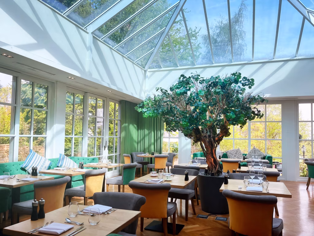 A bright, modern restaurant with a glass ceiling, green cushioned seating, wooden tables, and a large potted tree in the center. Sunlight streams in, creating an inviting and airy atmosphere.