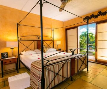 A cozy bedroom with a wrought iron canopy bed, striped bedding, two bedside tables with lamps, large windows letting in sunlight, and a view of greenery outside. Pink flower petals are scattered on the bed.