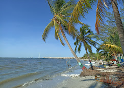 Freedom Shores