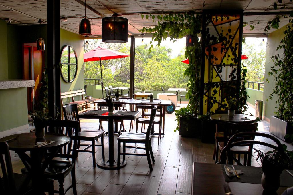 A cozy café with wooden tables and chairs, leafy green plants, and large windows letting in natural light. Red umbrellas and trees are visible on the outdoor patio, creating a relaxed and inviting atmosphere.