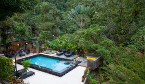 A modern outdoor pool area with black lounge chairs and a covered seating area is surrounded by lush green tropical trees and plants in a dense forest setting.