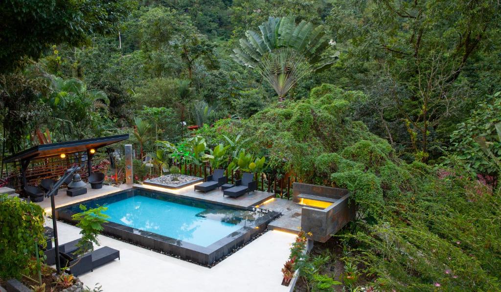 A modern outdoor pool area with black lounge chairs and a covered seating area is surrounded by lush green tropical trees and plants in a dense forest setting.