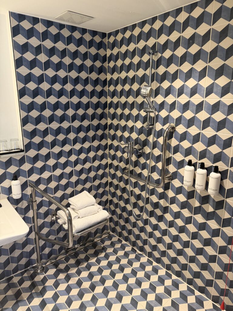 Roll-in shower with fold-down seat, vertical grab rail, horizontal grab rail and handheld shower on height-adjustable rail.