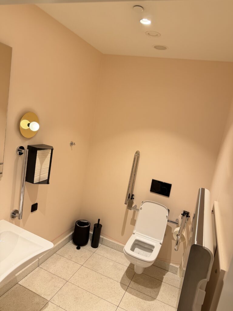 Accessible public toilet showing sink with grab rails, wall-hung toilet with fold-down rails, baby change unit and paper towel dispenser.