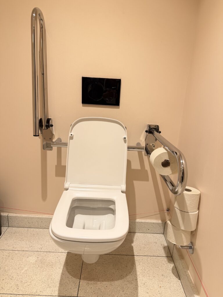 Wall-hung toilet with grab rail to each side and toilet roll holders, emergency alarm cord routing visible along skirting.