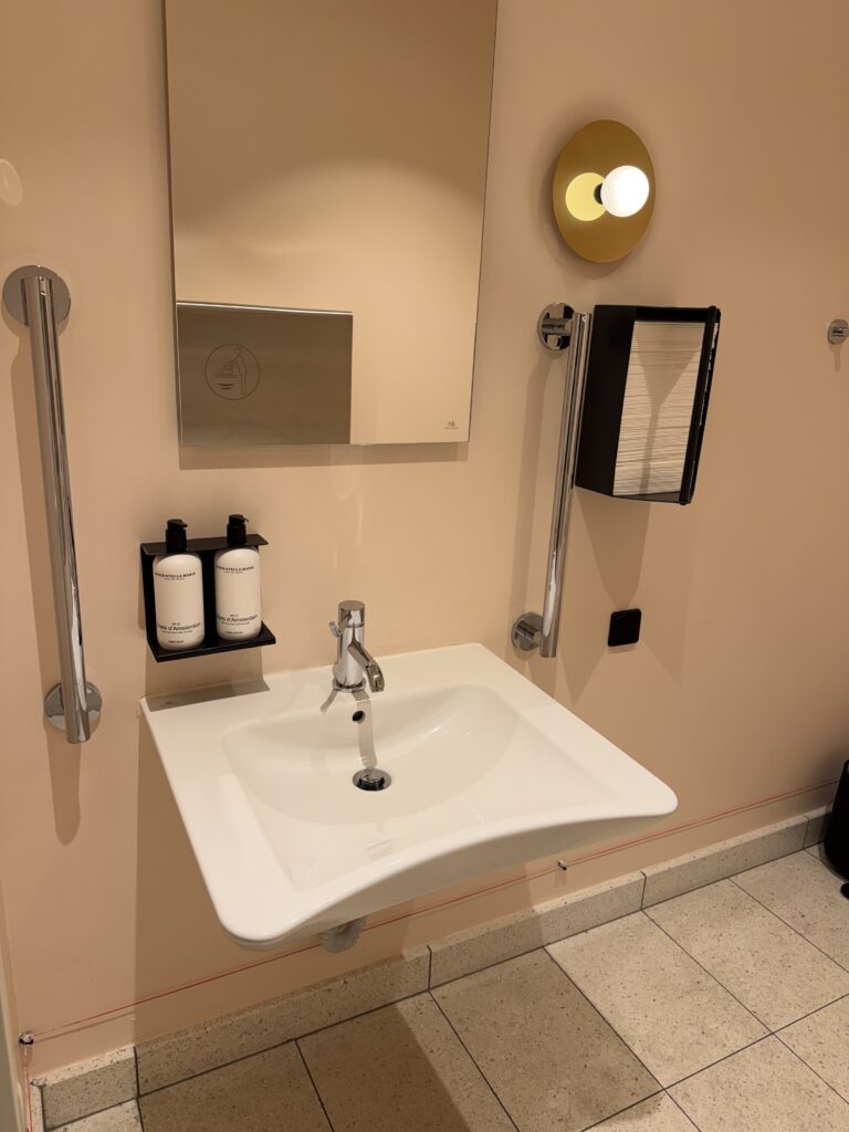 Wall-mounted sink with vertical grab rails on both sides and single-lever tap, clear knee space underneath.