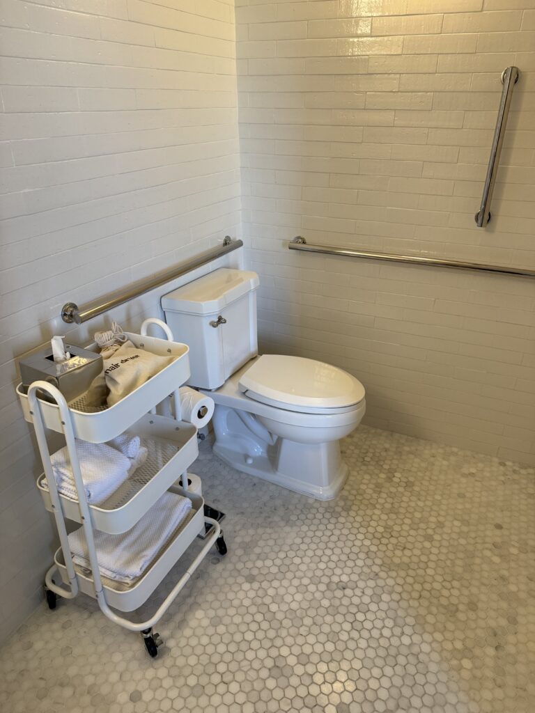 Accessible bathroom toilet at Lyle Washington DC. White ceramic toilet with horizontal grab rail mounted on the wall to the right and behind. A second grab rail runs higher up on the right wall. A mobile organising trolley sits to the left with towels and amenities. Floor in hex-pattern marble mosaic.