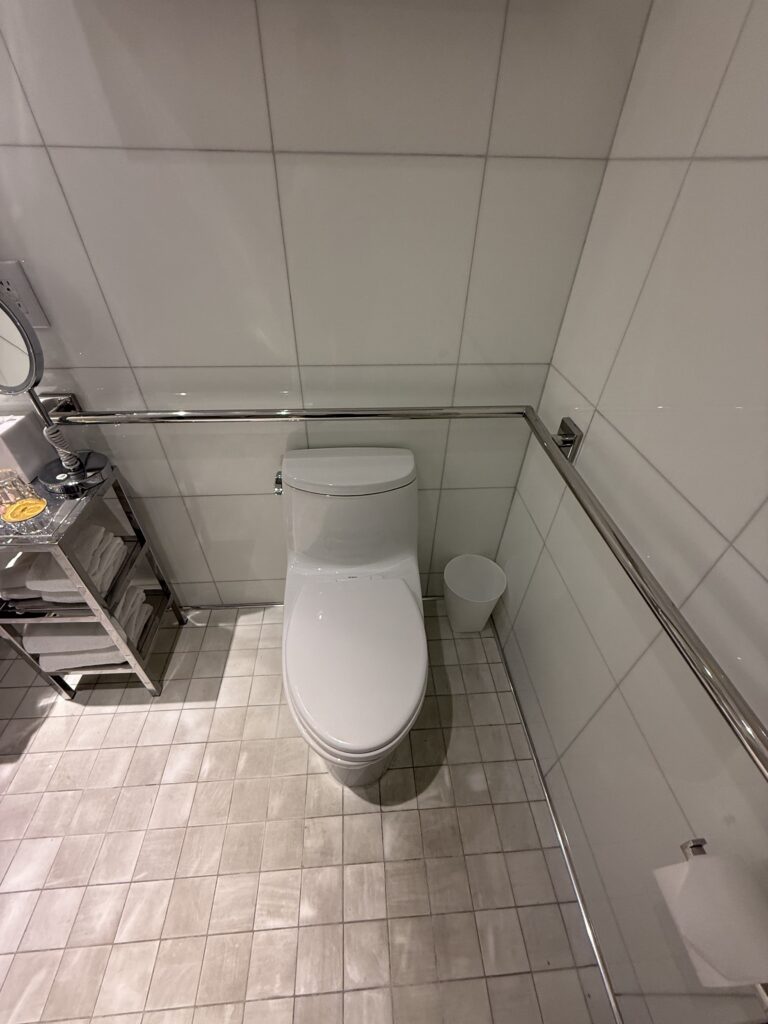 Toilet in the accessible bathroom at Hotel Park Ave. Floor-mounted Toto toilet with raised lid. Horizontal grab rail across the wall behind the toilet. Vertical grab rail to the right. Towel shelving and waste bin alongside. White large-format wall tile.