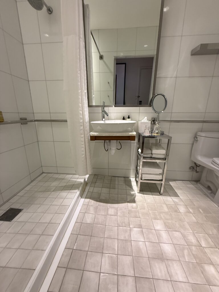 Sink area in the accessible bathroom at Hotel Park Ave. Wall-hung vessel basin on a wooden shelf with pipework exposed beneath. Pump bottles for hand wash and lotion at the basin edge. Magnifying mirror on an adjustable arm beside the main mirror. Horizontal grab rail along the wall behind. Mirrored chrome shelving unit with folded towels and drinking glasses.
