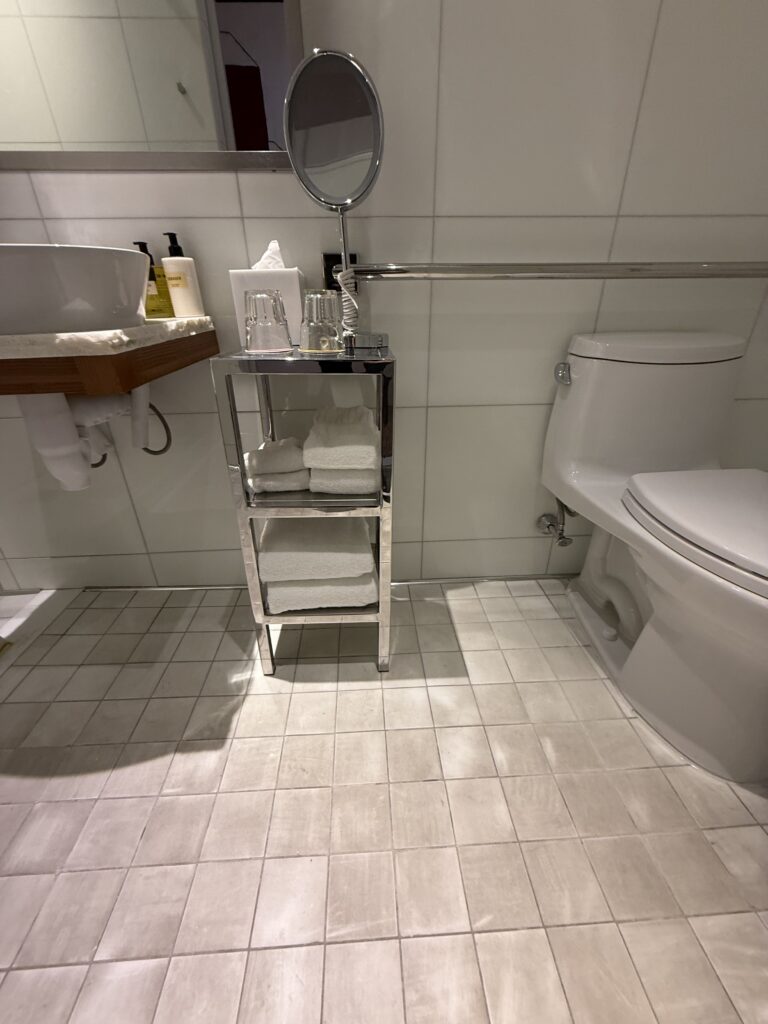 Accessible bathroom at Hotel Park Ave, wide view. Curtained shower on the left. Wall-hung vessel basin under a tall mirror at the centre wall. Toilet on the right with grab rails. Horizontal grab rail runs around the room. Small-format floor tile with floor drain in the shower. Clear floor space throughout the room.
