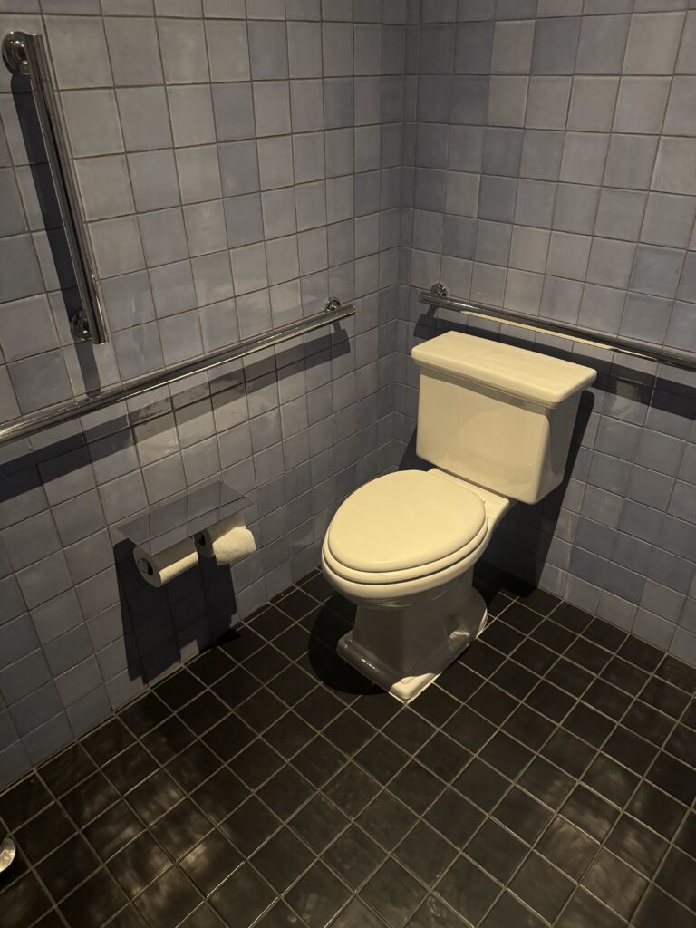 Accessible public toilet at Riggs Washington DC. Two-piece toilet with a chrome grab rail mounted on the back wall and a second grab rail on the right side wall. Wall-mounted dual-roll toilet paper holder on the left. Grey square wall tile and dark grey floor tile.