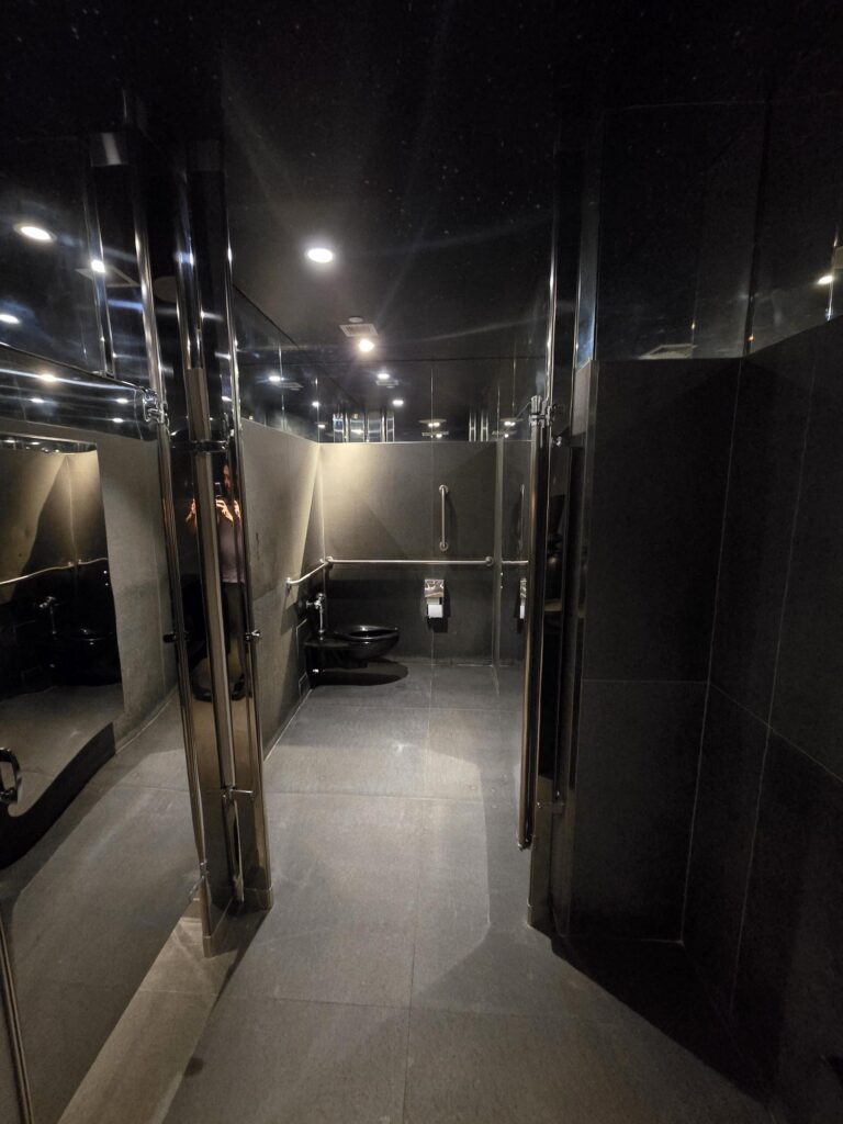 Accessible cubicle in the public washroom at Hotel Park Ave NYC. Wall-mounted toilet with grab rails to the side and rear wall, toilet roll holder within reach.